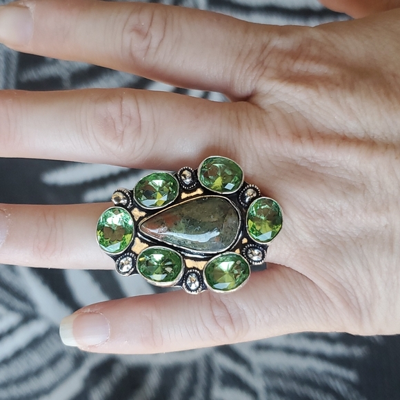 New Unakite and Tsavorite 925 Silver Statement Ring. - Picture 4 of 16